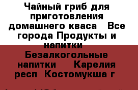 Чайный гриб для приготовления домашнего кваса - Все города Продукты и напитки » Безалкогольные напитки   . Карелия респ.,Костомукша г.